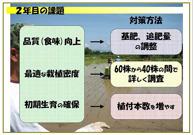 2年目の課題