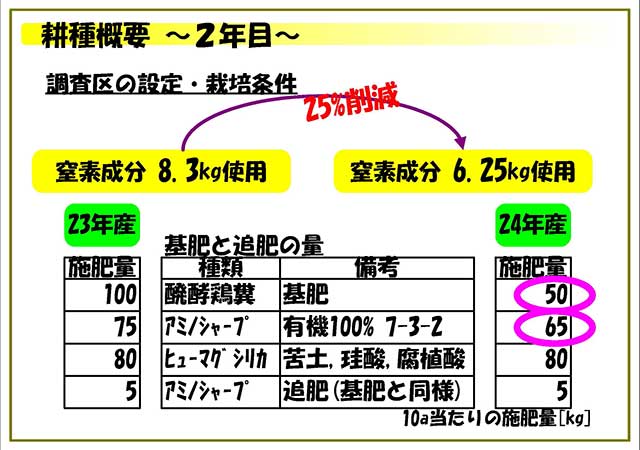 耕種概要 2年目