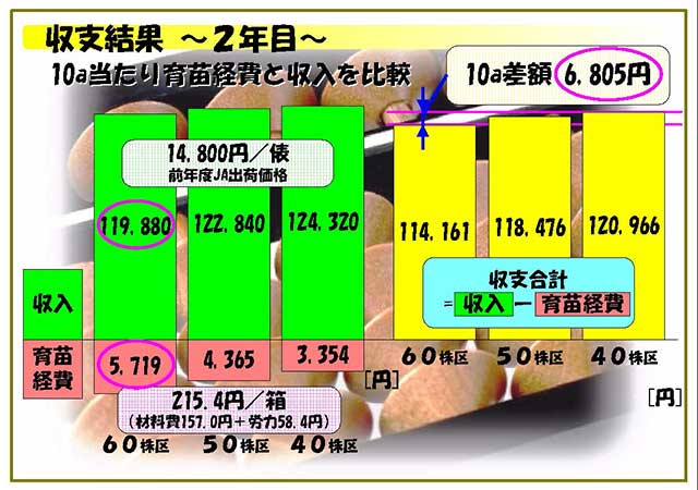収支結果 2年目