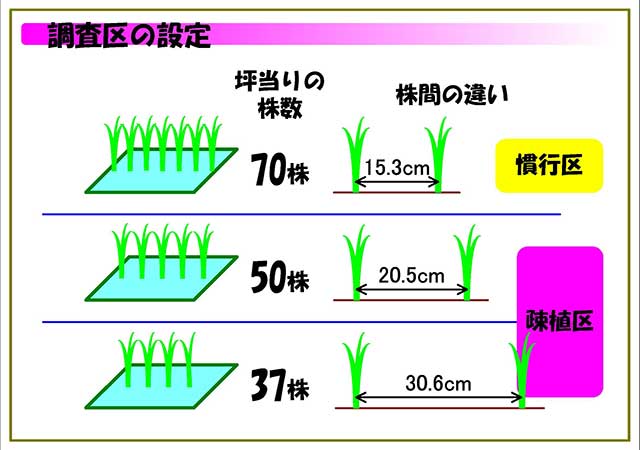 調査区の設定