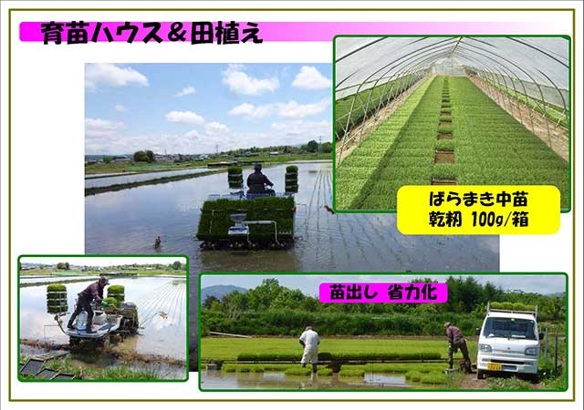 育苗ハウス＆田植え